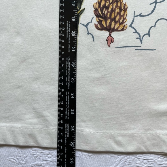 NWT Desmond & Dempsey x H&M Organic Cotton Graphic T-Shirt Size XXL - Picture 8 of 12